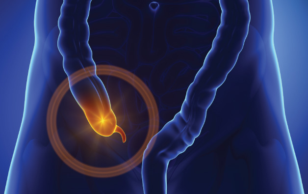 appendix surgery in kolkata