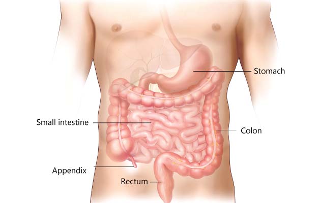 best doctor for appendix treatment in kolkata