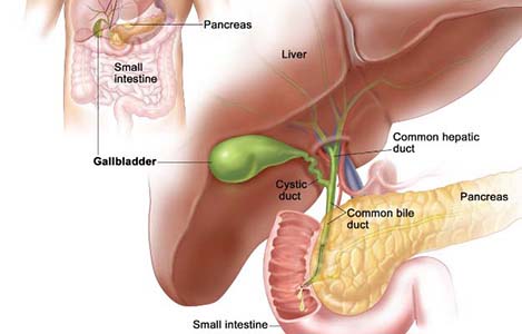 laparoscopic cholecystectomy treatment in kolkata