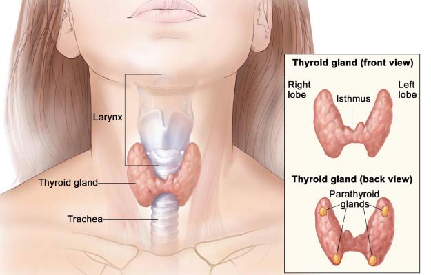 hemithyroidectomy