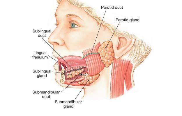 best parotid gland surgeon in kolkata