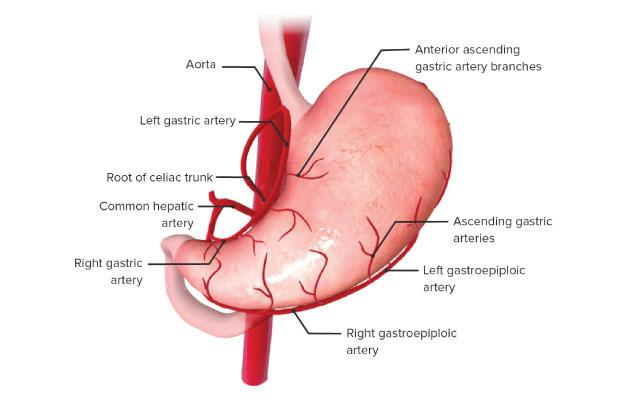 stomach cancer treatment in kolkata