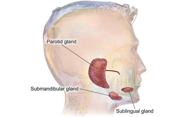 submandibular gland treatment in kolkata