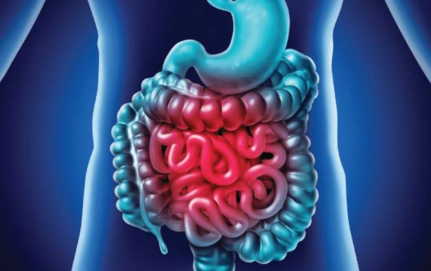 small intestine surgery in kolkata